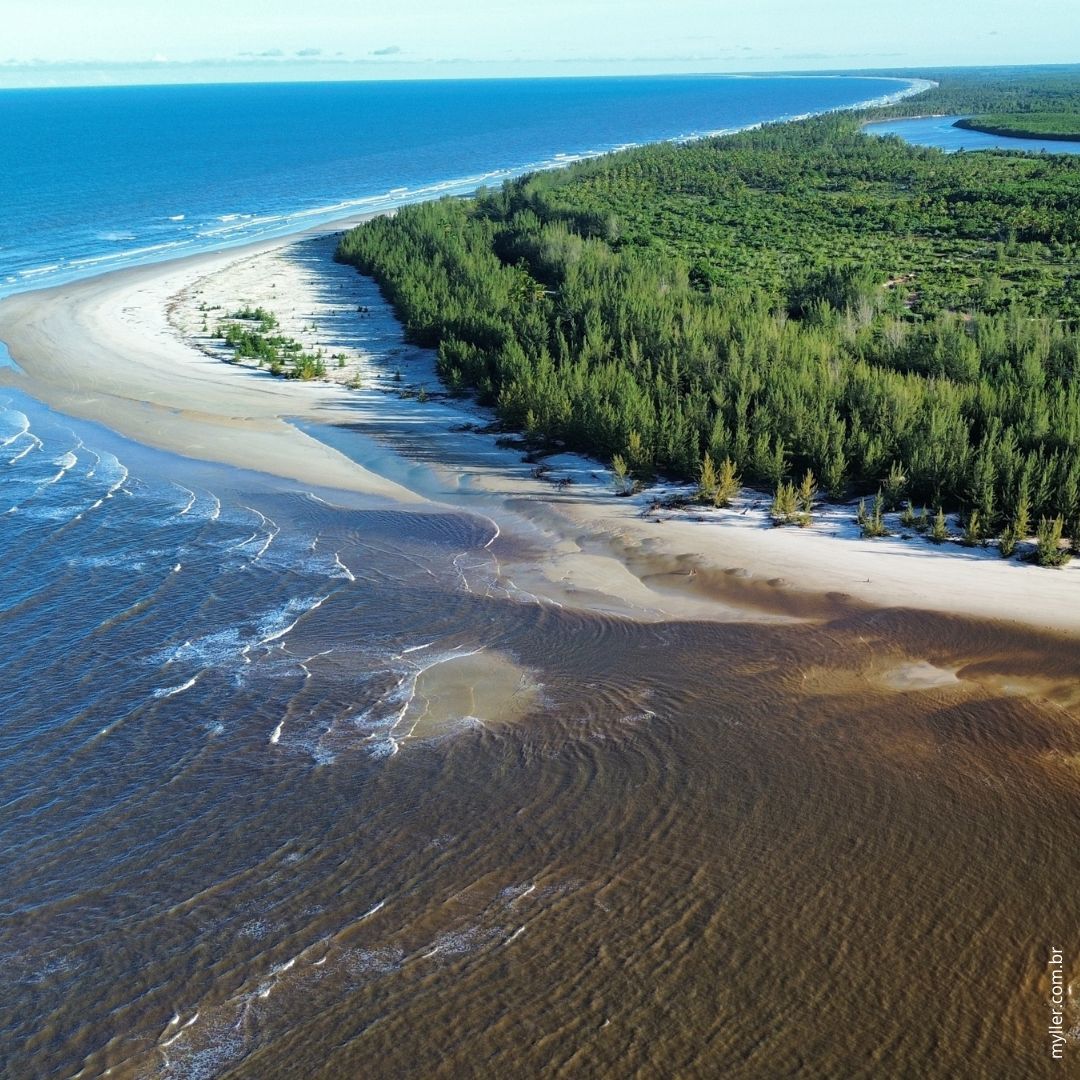 Barra do Albino Canavieiras